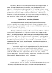 Kainodaros organizavimas: UAB "Vikeda" 16 puslapis