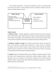 Kainodaros organizavimas: UAB "Vikeda" 7 puslapis