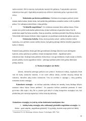 Kainodaros organizavimas: UAB "Vikeda" 10 puslapis