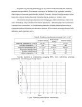Elektronikos įtaisų gamybos procesų modeliavimas ir tyrimas  13 puslapis