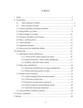 Kainodaros organizavimas: vidaus bei lauko durų  didmeninės ir mažmeninės prekybos įmonė UAB "Dorvila" 2 puslapis