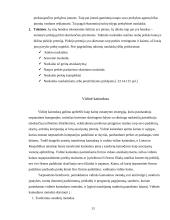 Kainodaros organizavimas: vidaus bei lauko durų  didmeninės ir mažmeninės prekybos įmonė UAB "Dorvila" 13 puslapis