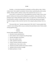 Kainodaros organizavimas: vidaus bei lauko durų  didmeninės ir mažmeninės prekybos įmonė UAB "Dorvila" 3 puslapis