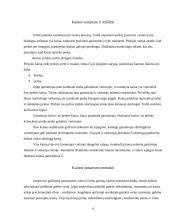 Kainodaros organizavimas: vidaus bei lauko durų  didmeninės ir mažmeninės prekybos įmonė UAB "Dorvila" 4 puslapis