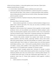 Kainodaros organizavimas: vidaus bei lauko durų  didmeninės ir mažmeninės prekybos įmonė UAB "Dorvila" 5 puslapis