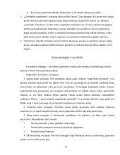 Kainodaros organizavimas: vidaus bei lauko durų  didmeninės ir mažmeninės prekybos įmonė UAB "Dorvila" 10 puslapis