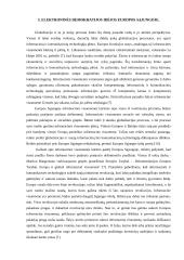 Elektroninė demokratija 11 puslapis