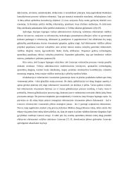 Elektroninė demokratija 13 puslapis