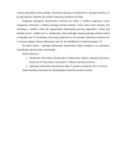 Elektroninė demokratija 3 puslapis