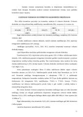 Keramika ir keraminės medžiagos 15 puslapis