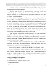 Keramika ir keraminės medžiagos 17 puslapis