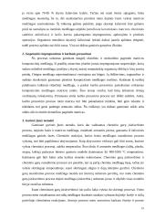 Keramika ir keraminės medžiagos 19 puslapis