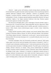 Elektroninė klasterizacija 2 puslapis
