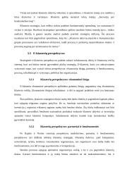 Elektroninė klasterizacija 11 puslapis