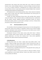Elektroninė klasterizacija 12 puslapis