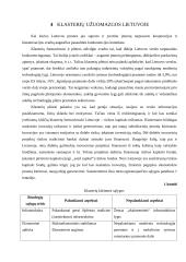 Elektroninė klasterizacija 19 puslapis