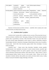 Elektroninė klasterizacija 20 puslapis
