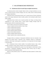 Elektroninė klasterizacija 8 puslapis
