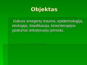 Kineziterapija ankstyvuoju reabilitacijos periodu: galvos smegenų traumos 2 puslapis