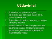 Kineziterapija ankstyvuoju reabilitacijos periodu: galvos smegenų traumos 3 puslapis