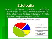 Kineziterapija ankstyvuoju reabilitacijos periodu: galvos smegenų traumos 6 puslapis