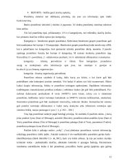 Elektroninės pranešimų ir atsiskaitymų sistemos 12 puslapis