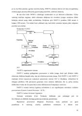 Elektroninės pranešimų ir atsiskaitymų sistemos 16 puslapis