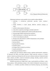 Elektroninės pranešimų ir atsiskaitymų sistemos 19 puslapis