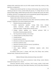 Elektroninės pranešimų ir atsiskaitymų sistemos 20 puslapis