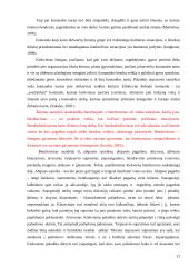 Komandos narių tarpusavio santykiai skatinantys komandos sutelktumą 12 puslapis