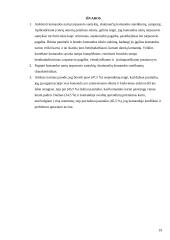 Komandos narių tarpusavio santykiai skatinantys komandos sutelktumą 19 puslapis