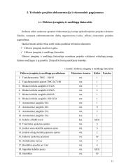 Elektros montavimo paslaugų įmonės AB "Saugi elektra" veiklos organizavimas ir ekonominis projekto pagrindimas 11 puslapis