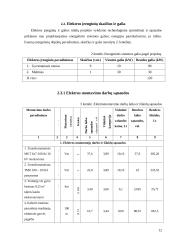 Elektros montavimo paslaugų įmonės AB "Saugi elektra" veiklos organizavimas ir ekonominis projekto pagrindimas 12 puslapis