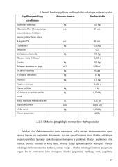 Elektros montavimo paslaugų įmonės AB "Saugi elektra" veiklos organizavimas ir ekonominis projekto pagrindimas 17 puslapis