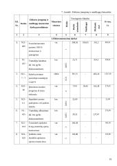 Elektros montavimo paslaugų įmonės AB "Saugi elektra" veiklos organizavimas ir ekonominis projekto pagrindimas 19 puslapis