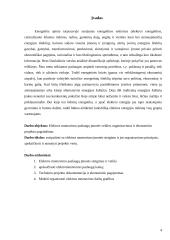 Elektros montavimo paslaugų įmonės AB "Saugi elektra" veiklos organizavimas ir ekonominis projekto pagrindimas 4 puslapis