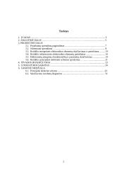 Elektros pavaros elektroninis galios keitiklis 2 puslapis