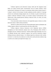 Elektros pavaros elektroninis galios keitiklis 6 puslapis