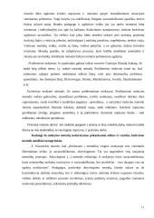 Elektrotechnikos mokomojo dalyko dėstymo ypatumai 10 puslapis