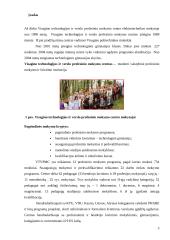 Elektrotechnikos mokomojo dalyko dėstymo ypatumai 2 puslapis