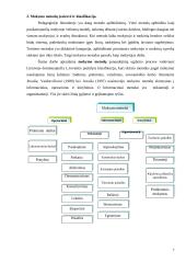 Elektrotechnikos mokomojo dalyko dėstymo ypatumai 6 puslapis