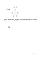 Komunikavimas organizacijoje 13 puslapis