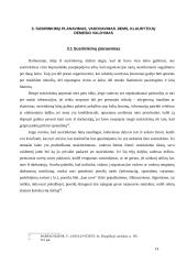 Komunikavimas organizacijoje 14 puslapis