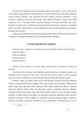 Komunikavimas organizacijoje 17 puslapis