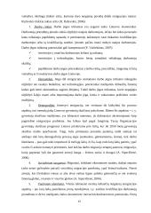 Emigracijos pasekmės Lietuvos Resupublikai (LR) 13 puslapis