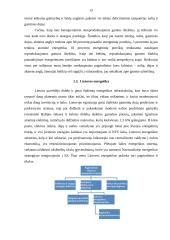 Energetiniai gamtos ištekliai ir jų vertinimas 13 puslapis