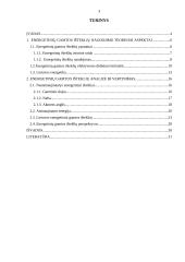 Energetiniai gamtos ištekliai ir jų vertinimas 3 puslapis