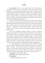 Energetiniai gamtos ištekliai ir jų vertinimas 4 puslapis