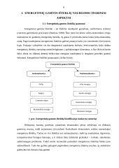 Energetiniai gamtos ištekliai ir jų vertinimas 6 puslapis