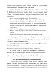 Energetiniai gamtos ištekliai ir jų vertinimas 10 puslapis